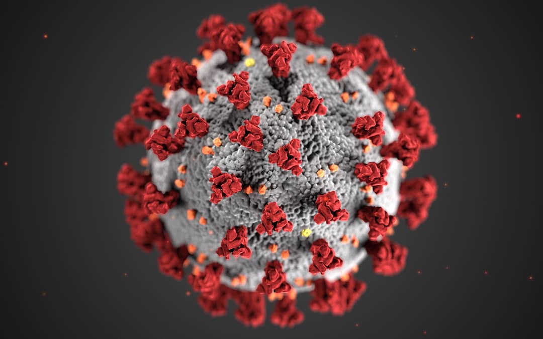Coronavirus Emphasized Need for a Great Website